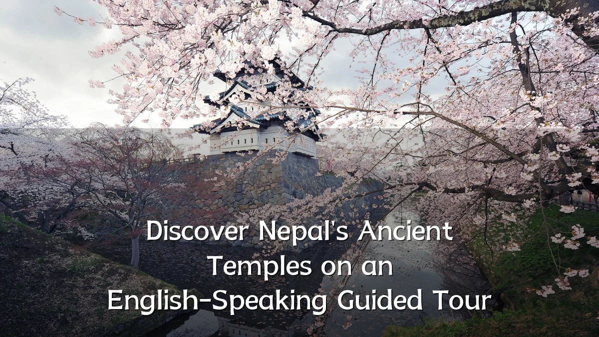 Discover Nepal's Ancient Temples on an English-Speaking Guided Tour