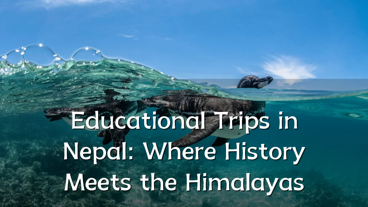 Educational Trips in Nepal: Where History Meets the Himalayas