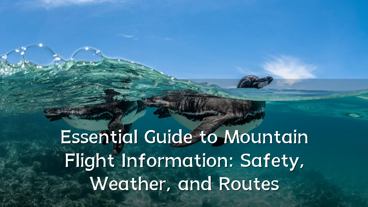 Essential Guide to Mountain Flight Information: Safety, Weather, and Routes