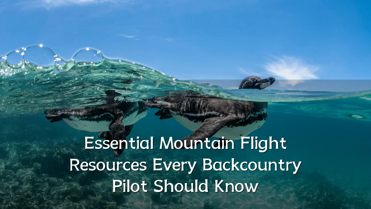 Essential Mountain Flight Resources Every Backcountry Pilot Should Know