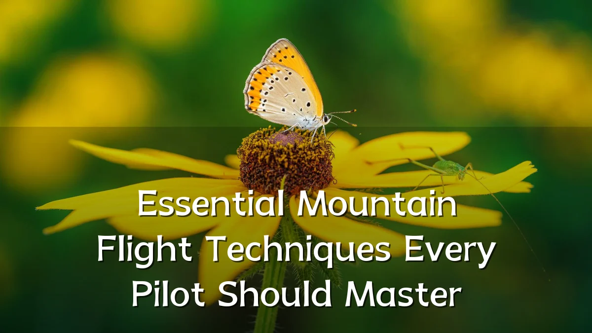 Essential Mountain Flight Techniques Every Pilot Should Master