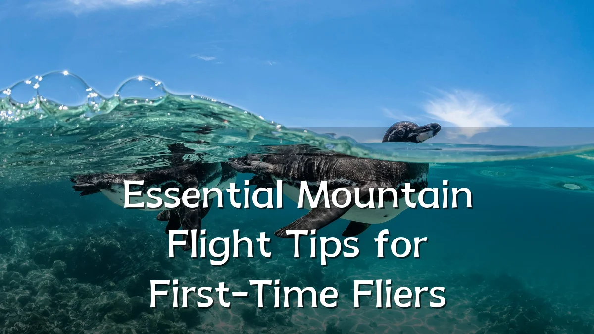 Essential Mountain Flight Tips for First-Time Fliers