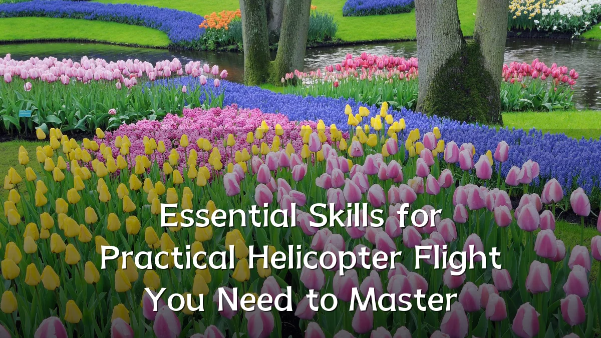Essential Skills for Practical Helicopter Flight You Need to Master