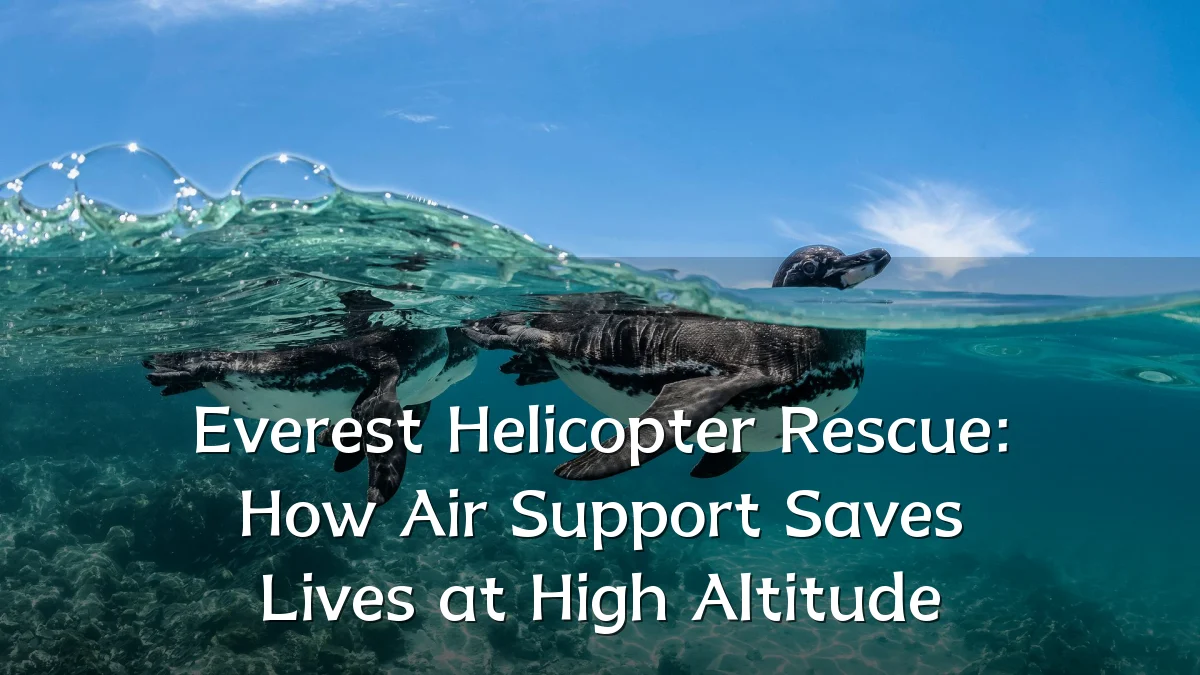 Everest Helicopter Rescue: How Air Support Saves Lives at High Altitude