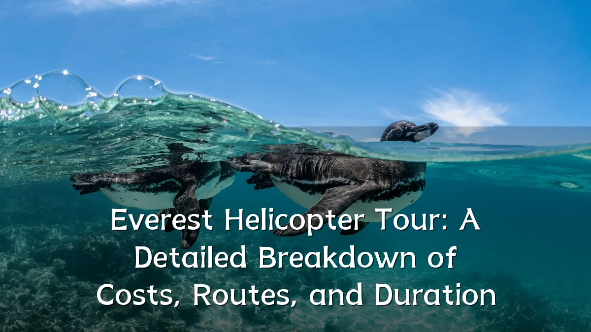 Everest Helicopter Tour: A Detailed Breakdown of Costs, Routes, and Duration