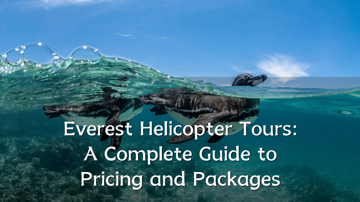 Everest Helicopter Tours: A Complete Guide to Pricing and Packages