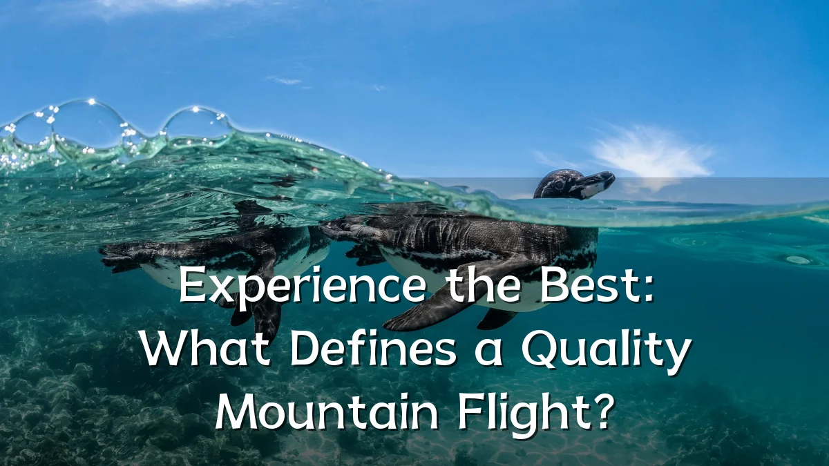 Experience the Best: What Defines a Quality Mountain Flight?