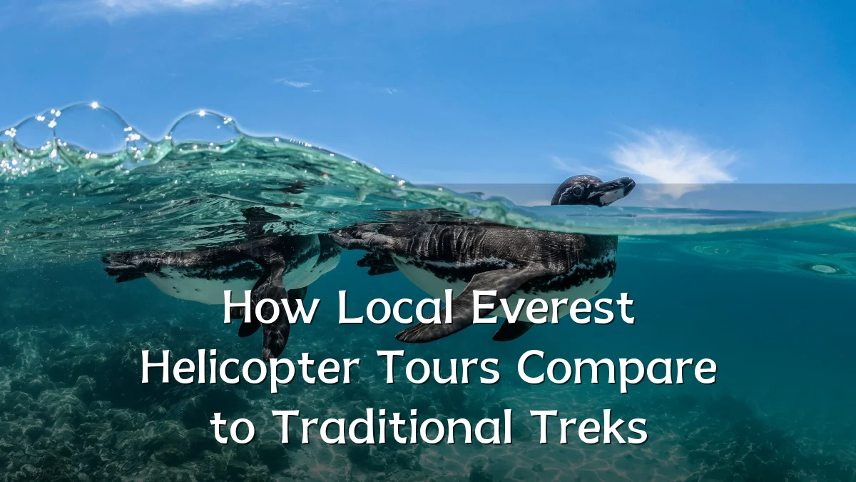 How Local Everest Helicopter Tours Compare to Traditional Treks