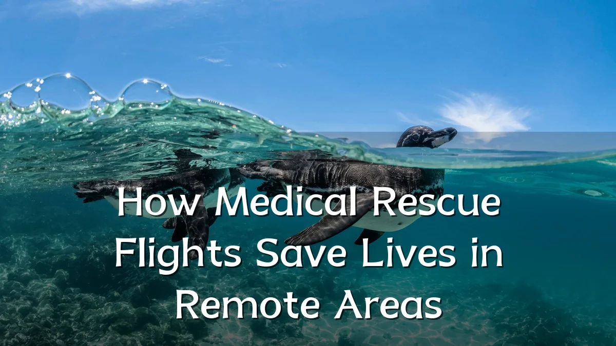 How Medical Rescue Flights Save Lives in Remote Areas