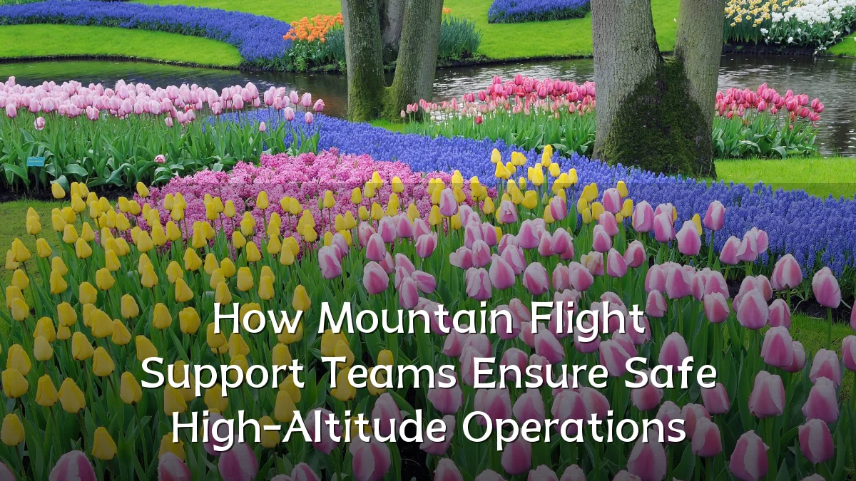 How Mountain Flight Support Teams Ensure Safe High-Altitude Operations