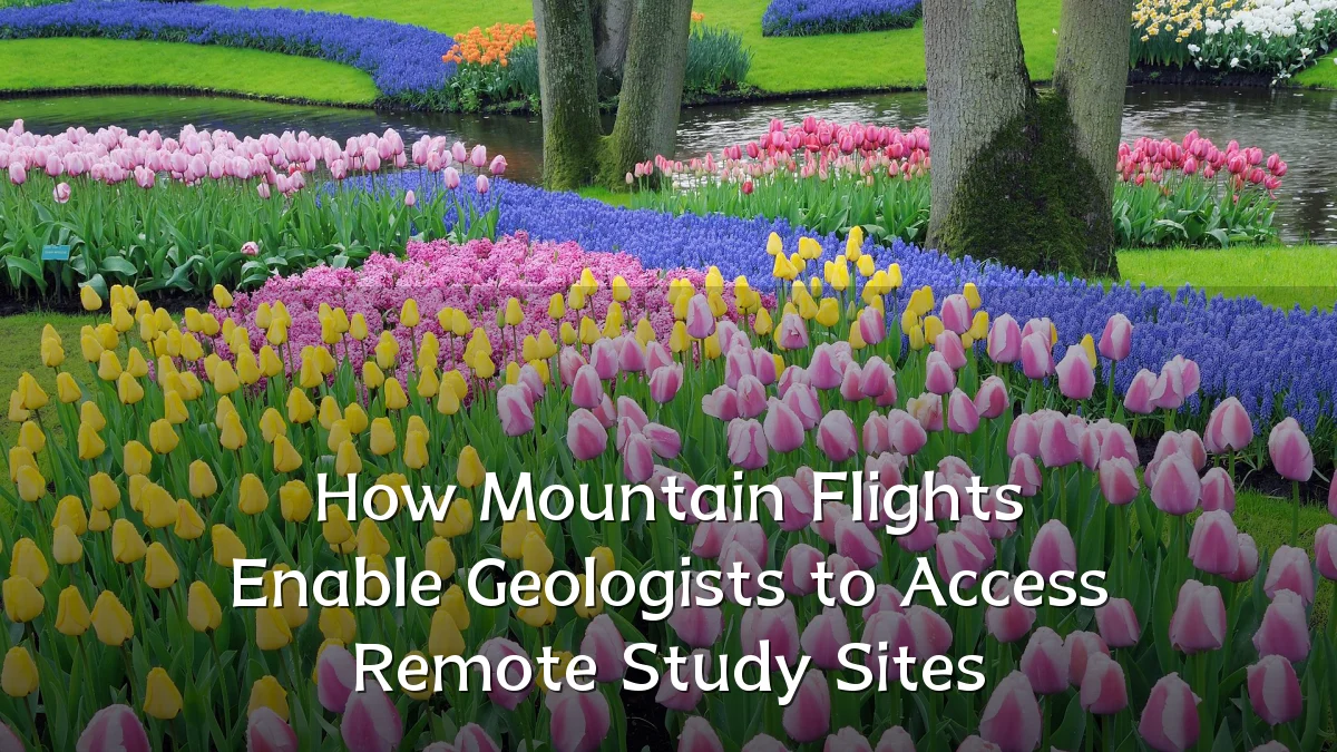 How Mountain Flights Enable Geologists to Access Remote Study Sites