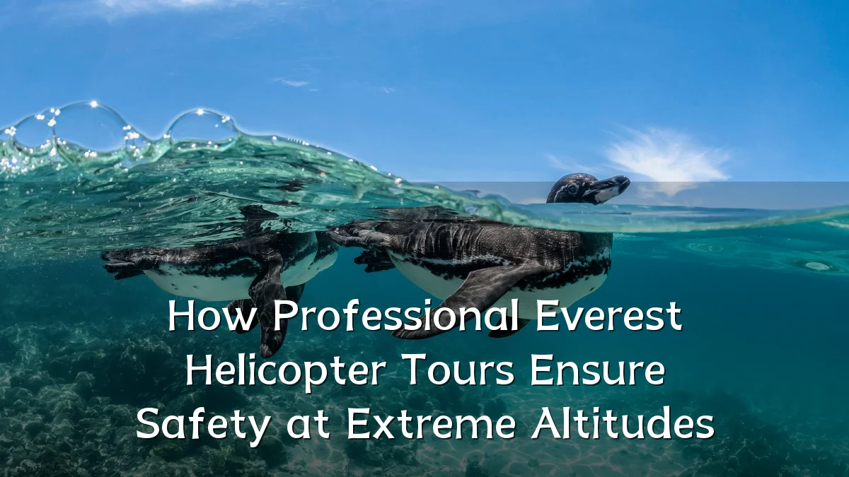 How Professional Everest Helicopter Tours Ensure Safety at Extreme Altitudes