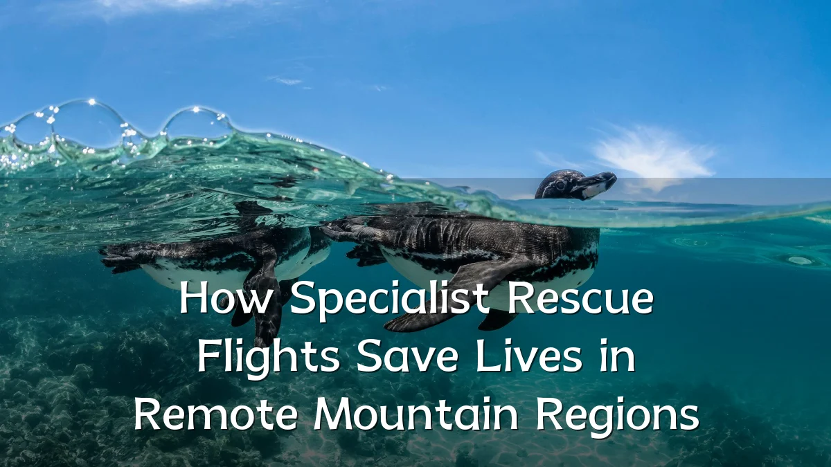 How Specialist Rescue Flights Save Lives in Remote Mountain Regions