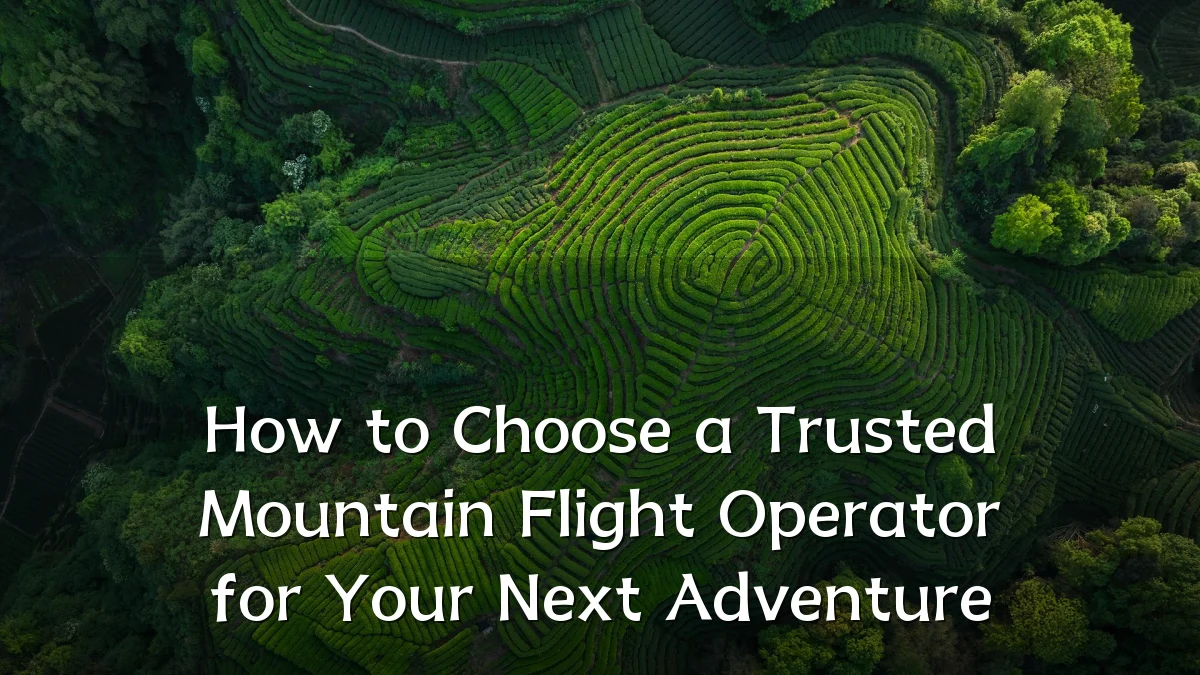 How to Choose a Trusted Mountain Flight Operator for Your Next Adventure