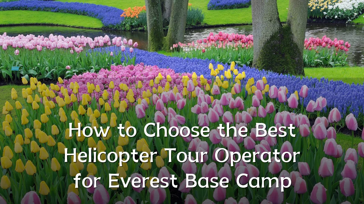 How to Choose the Best Helicopter Tour Operator for Everest Base Camp