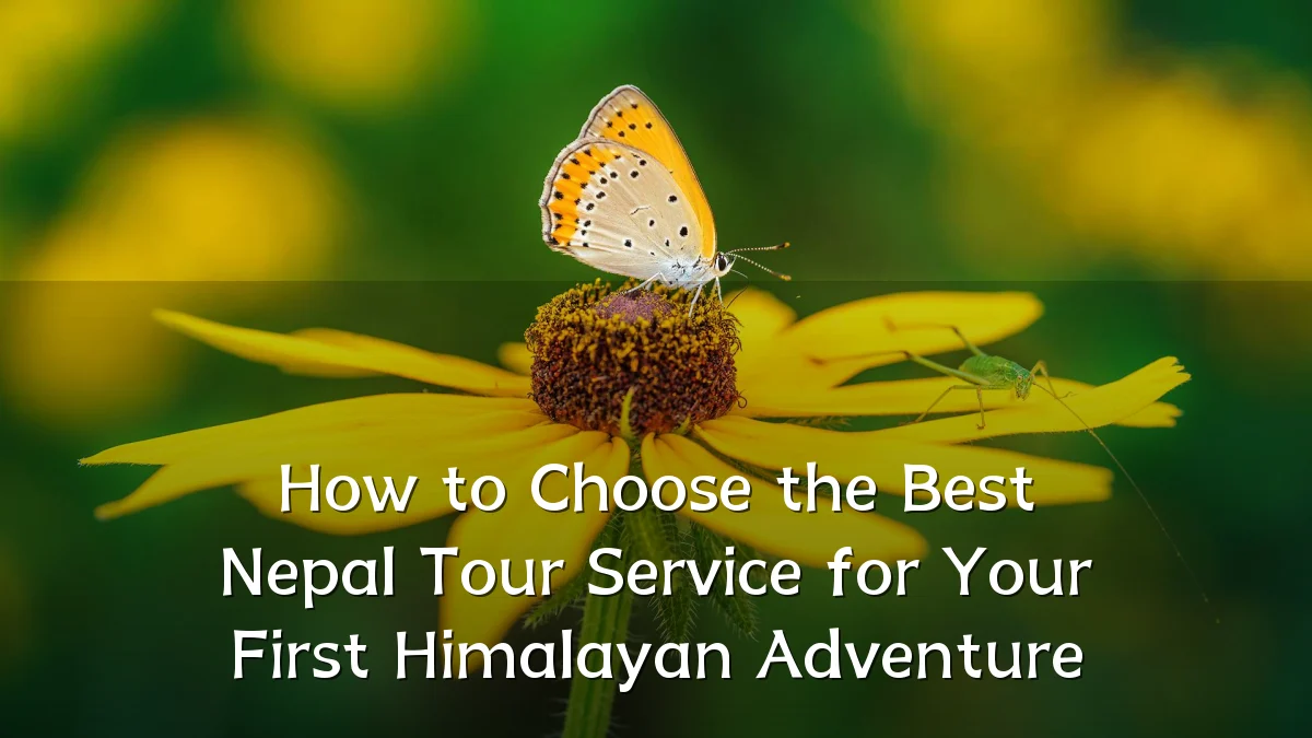 How to Choose the Best Nepal Tour Service for Your First Himalayan Adventure