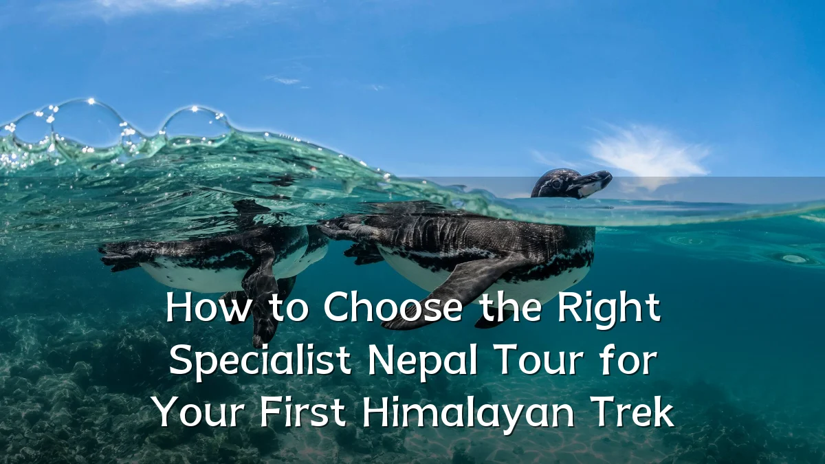 How to Choose the Right Specialist Nepal Tour for Your First Himalayan Trek