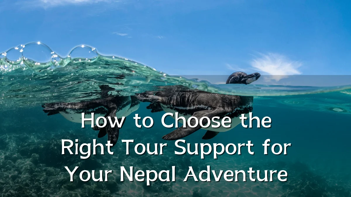 How to Choose the Right Tour Support for Your Nepal Adventure