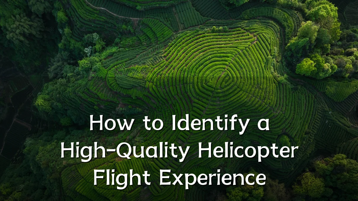 How to Identify a High-Quality Helicopter Flight Experience
