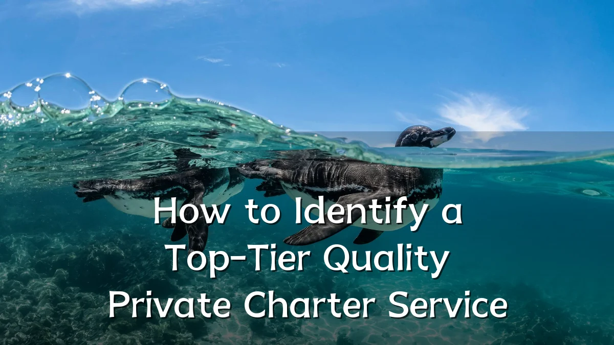 How to Identify a Top-Tier Quality Private Charter Service