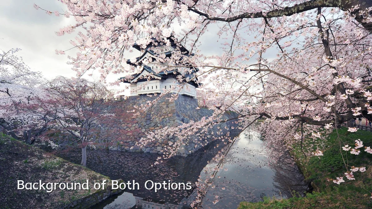 Background of Both Options