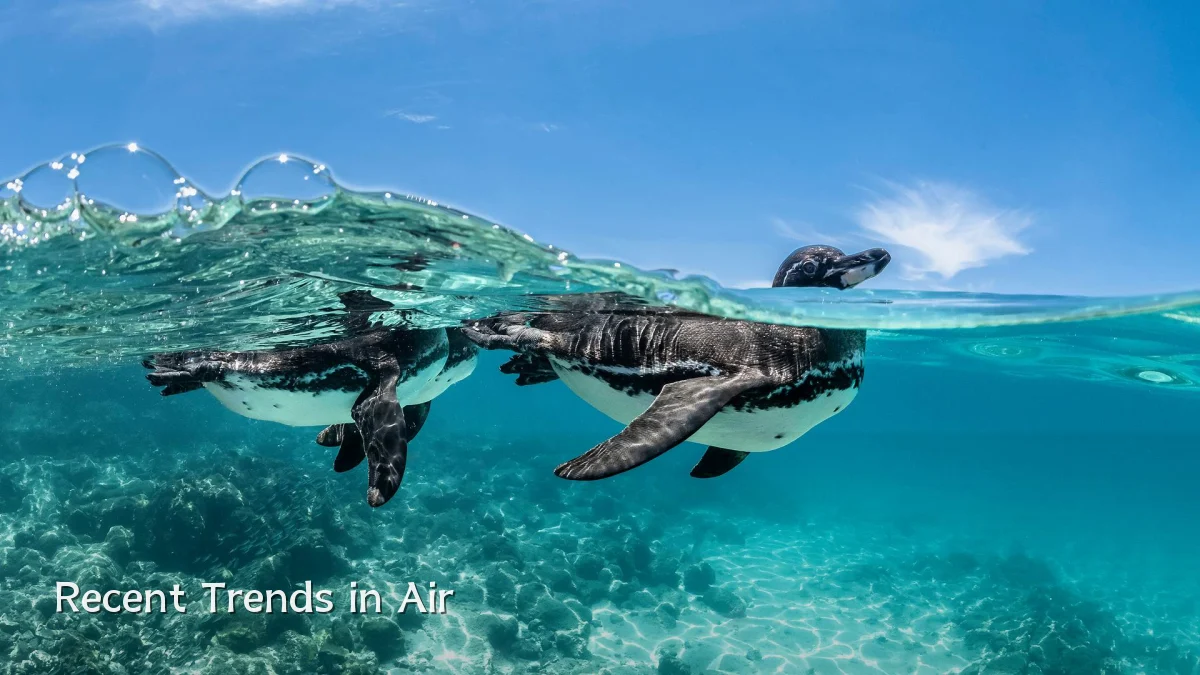 Recent Trends in Air