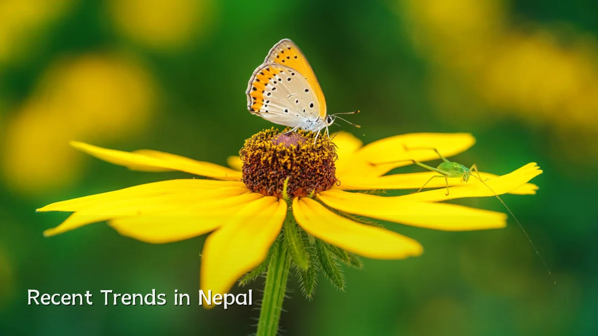 Recent Trends in Nepal