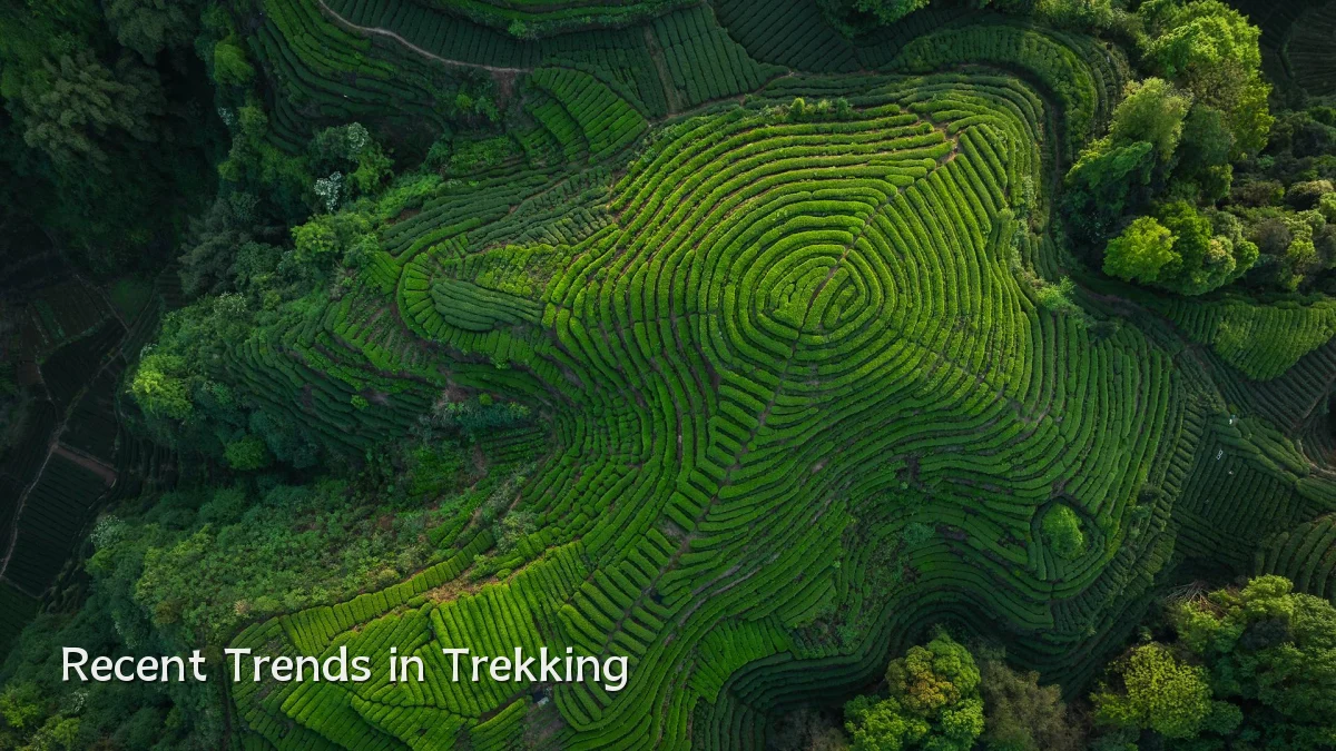 Recent Trends in Trekking