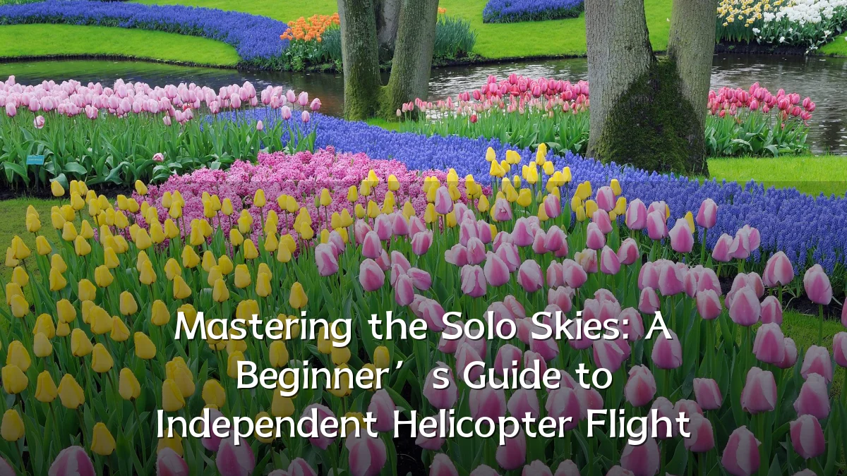 Mastering the Solo Skies: A Beginner’s Guide to Independent Helicopter Flight