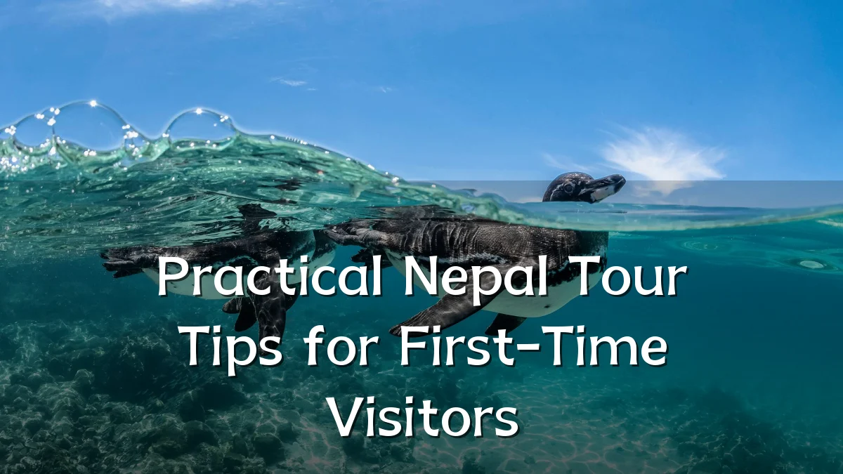 Practical Nepal Tour Tips for First-Time Visitors