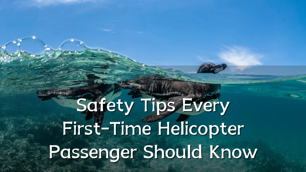 Safety Tips Every First-Time Helicopter Passenger Should Know