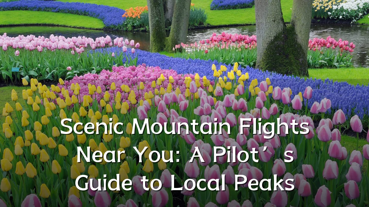 Scenic Mountain Flights Near You: A Pilot’s Guide to Local Peaks