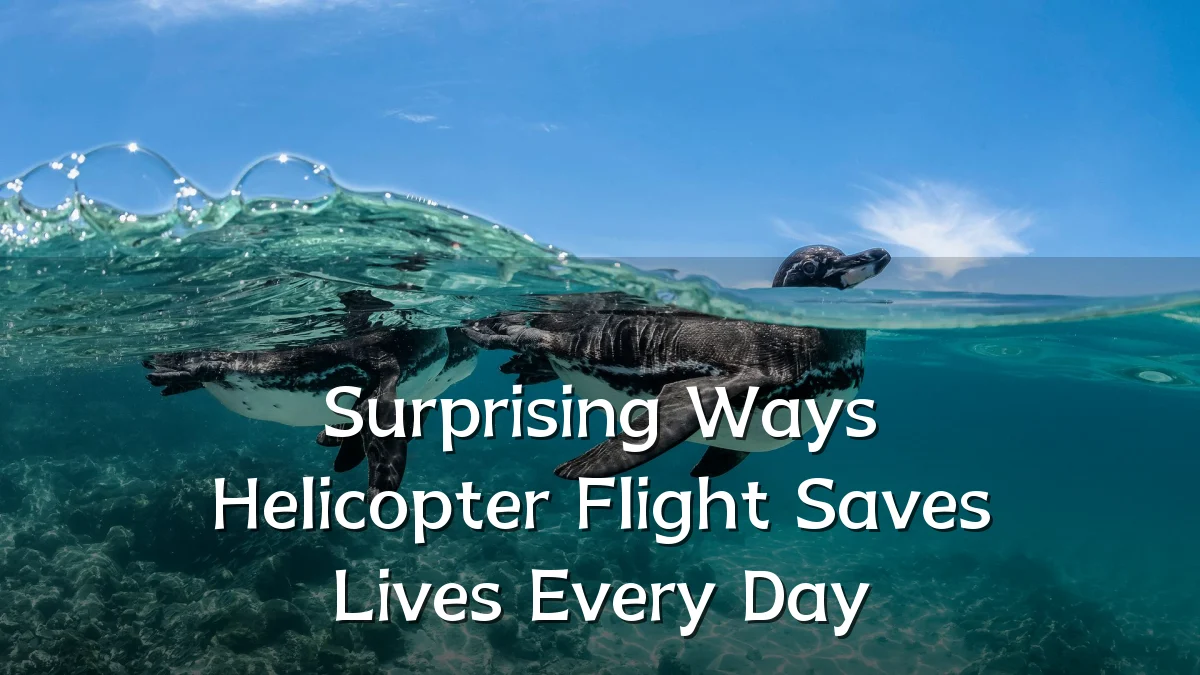Surprising Ways Helicopter Flight Saves Lives Every Day