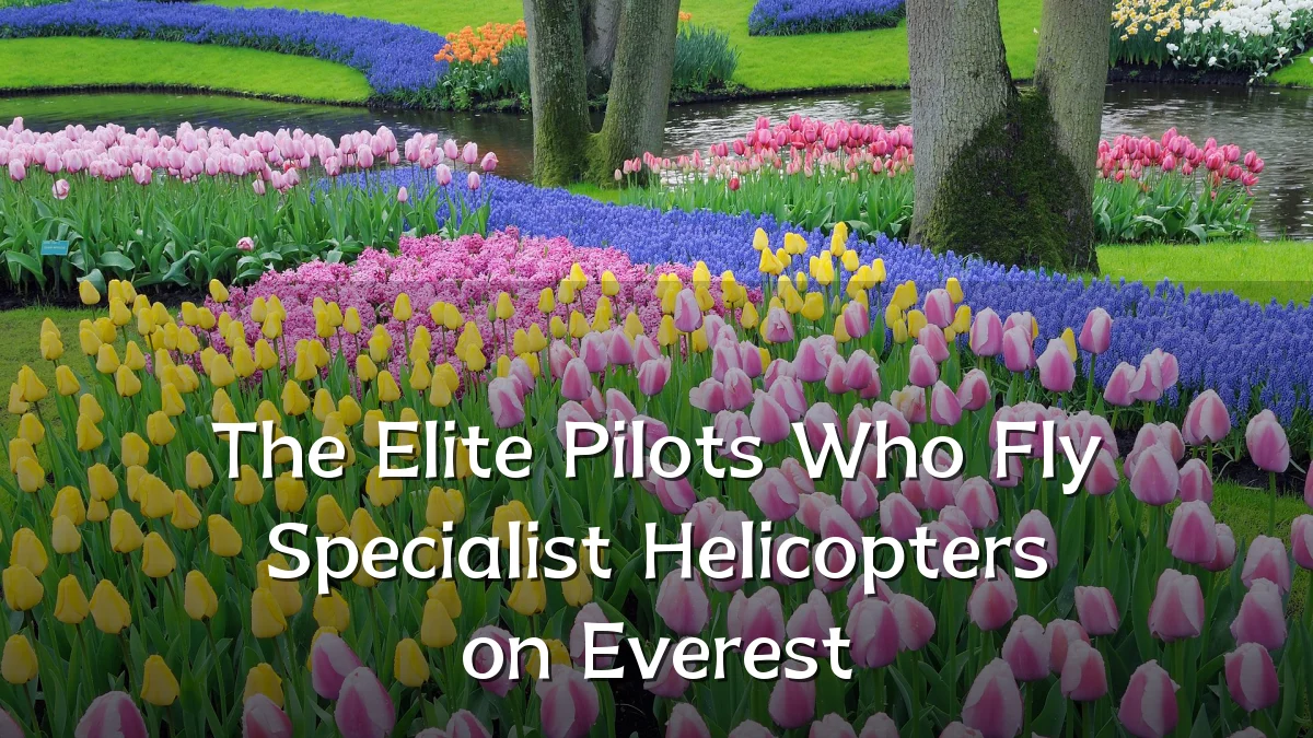 The Elite Pilots Who Fly Specialist Helicopters on Everest