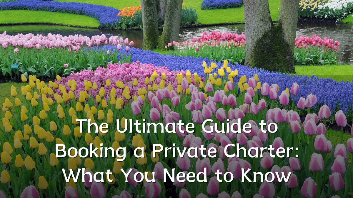 The Ultimate Guide to Booking a Private Charter: What You Need to Know