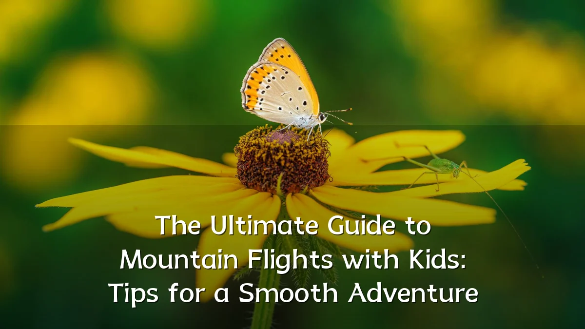 The Ultimate Guide to Mountain Flights with Kids: Tips for a Smooth Adventure