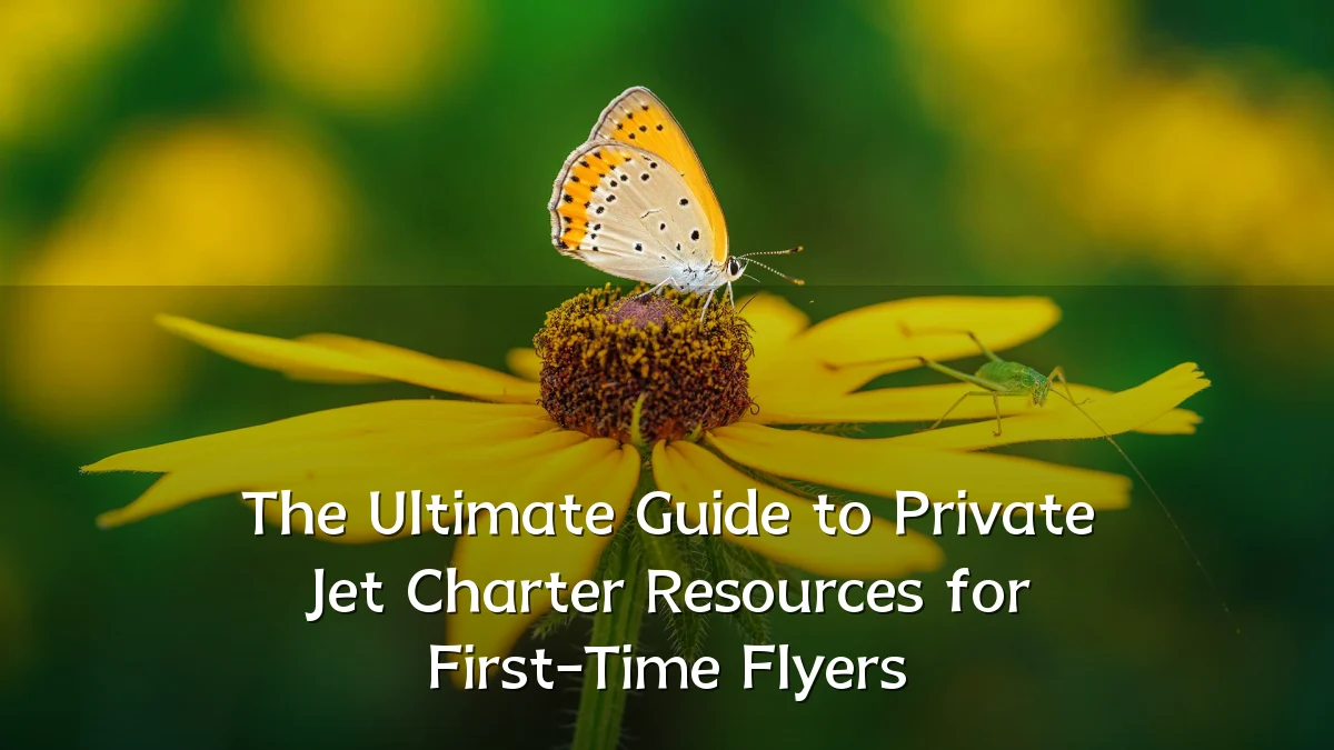 The Ultimate Guide to Private Jet Charter Resources for First-Time Flyers