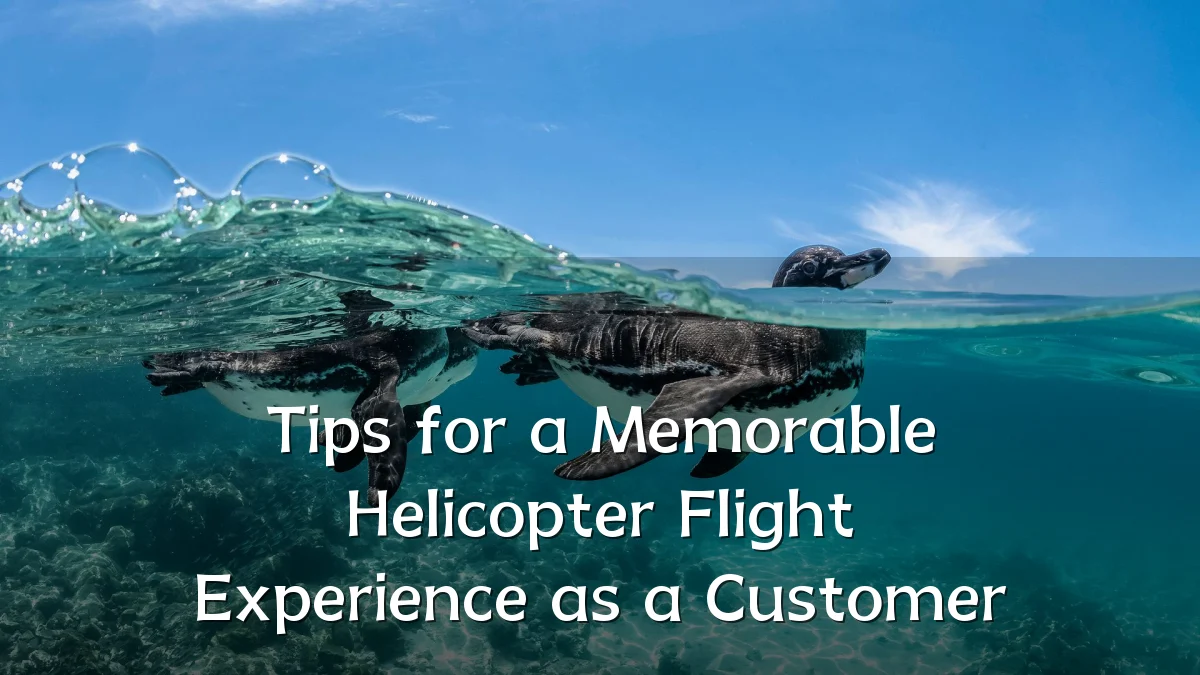 Tips for a Memorable Helicopter Flight Experience as a Customer