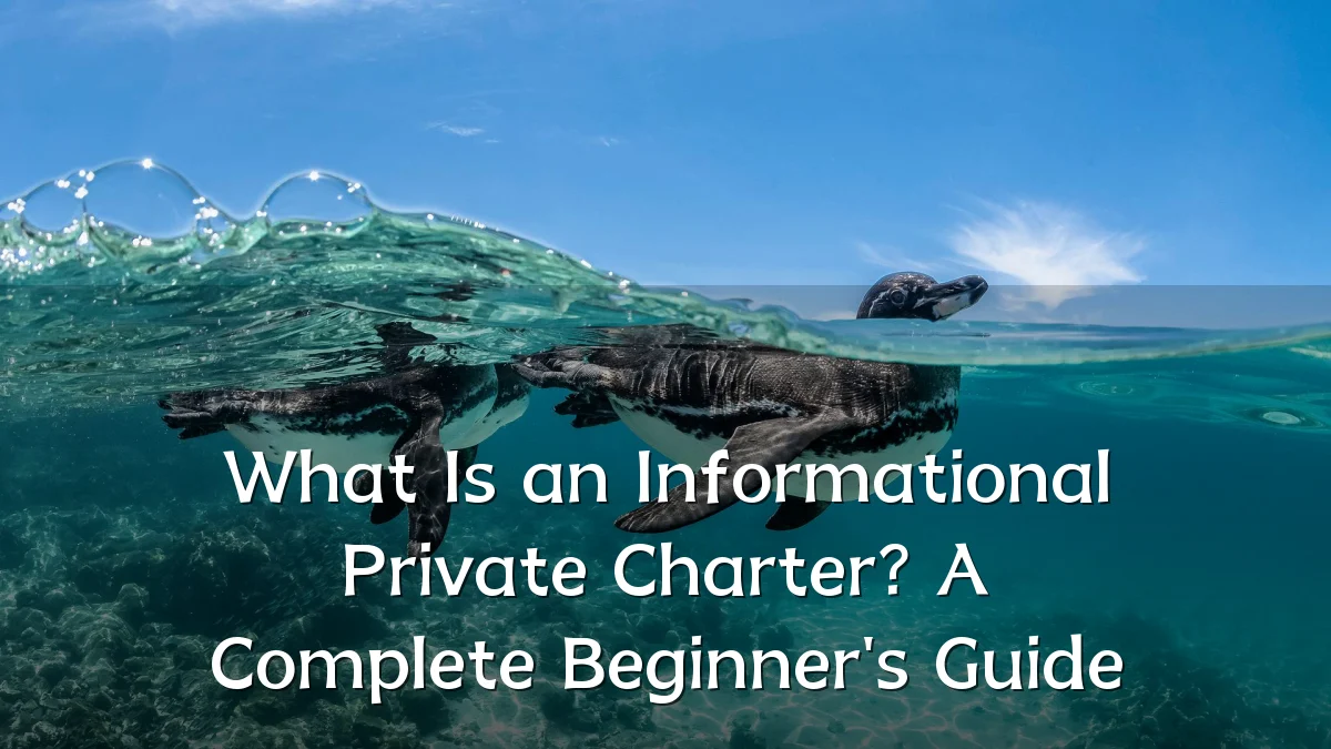 What Is an Informational Private Charter? A Complete Beginner's Guide