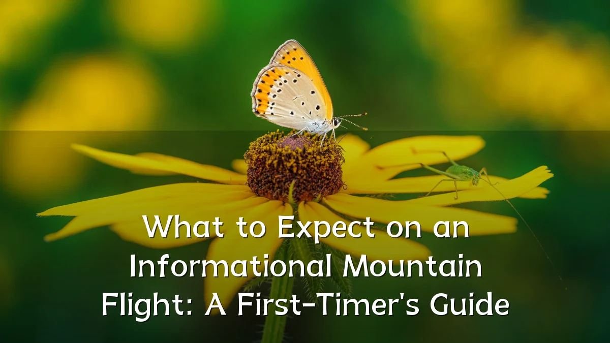 What to Expect on an Informational Mountain Flight: A First-Timer's Guide