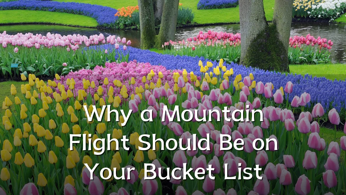 Why a Mountain Flight Should Be on Your Bucket List
