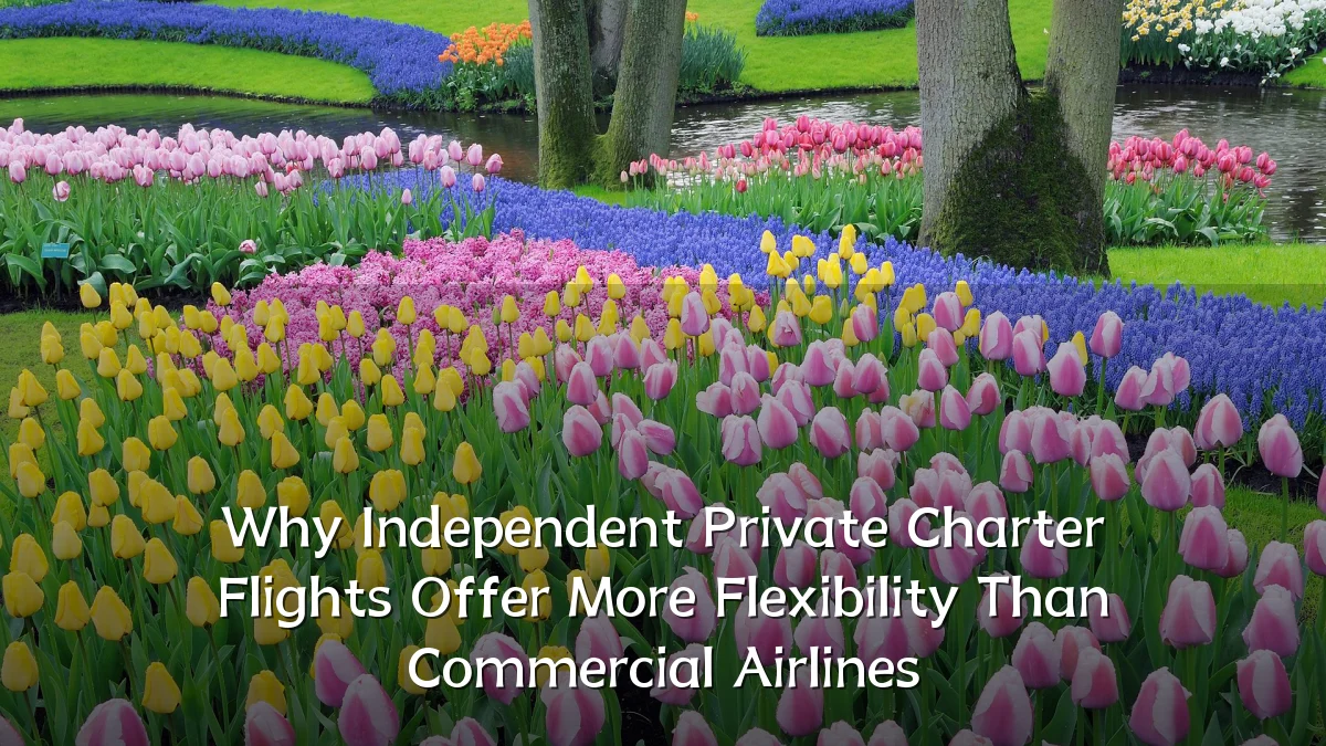 Why Independent Private Charter Flights Offer More Flexibility Than Commercial Airlines