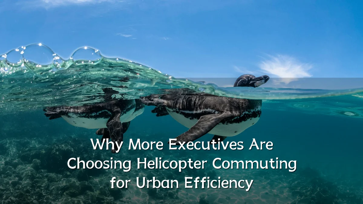 Why More Executives Are Choosing Helicopter Commuting for Urban Efficiency