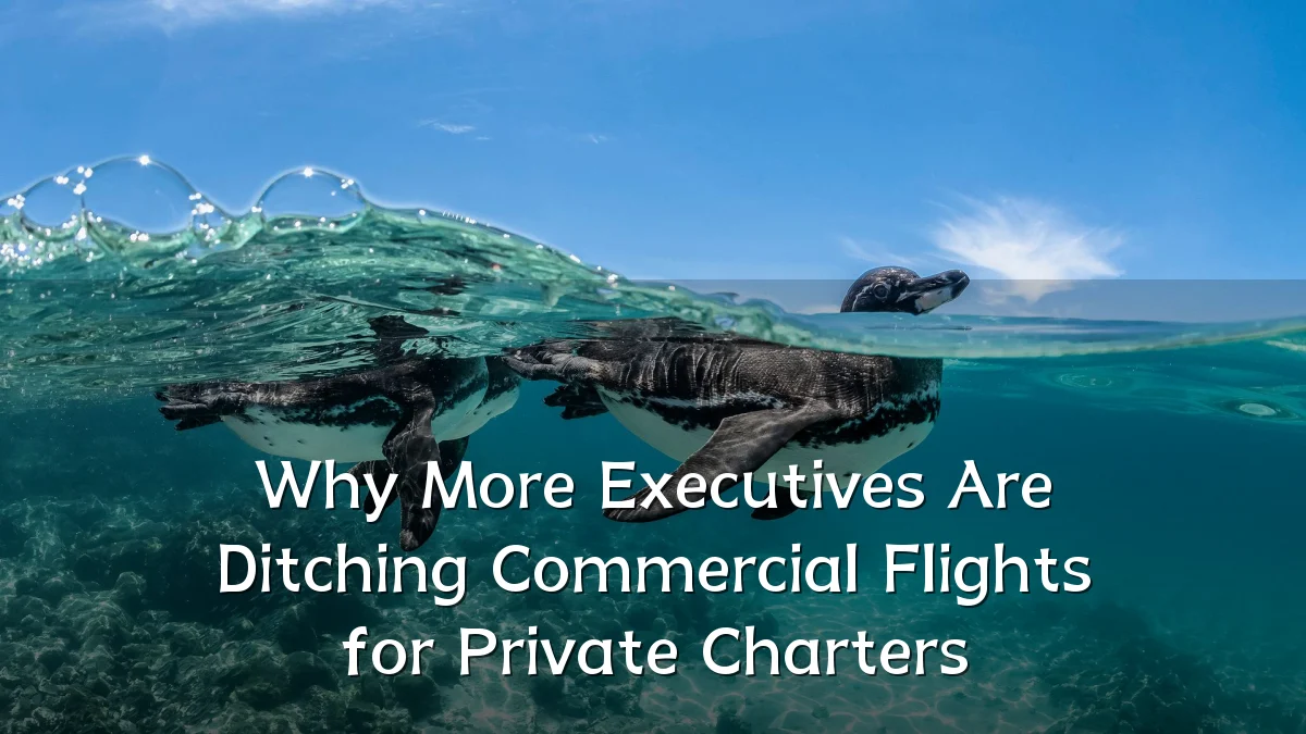 Why More Executives Are Ditching Commercial Flights for Private Charters
