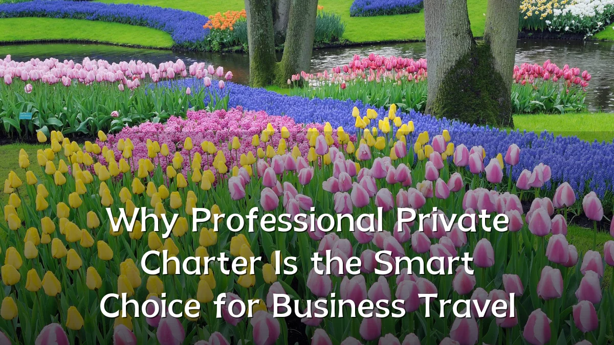 Why Professional Private Charter Is the Smart Choice for Business Travel