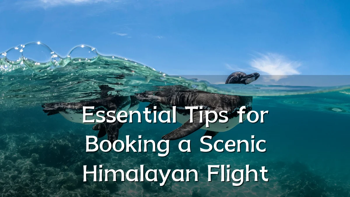 Essential Tips for Booking a Scenic Himalayan Flight