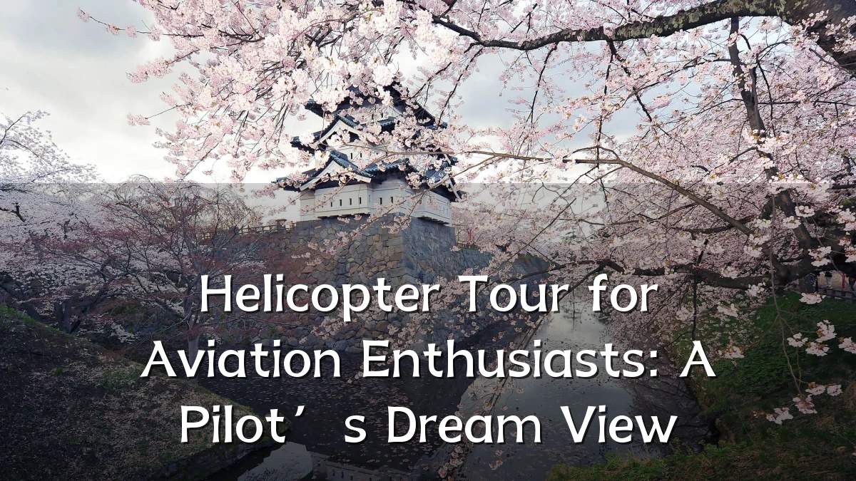 Helicopter Tour for Aviation Enthusiasts: A Pilot’s Dream View