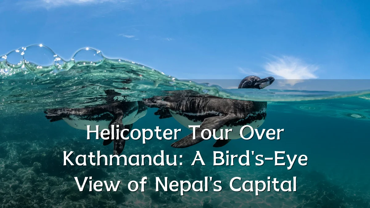 Helicopter Tour Over Kathmandu: A Bird's-Eye View of Nepal's Capital