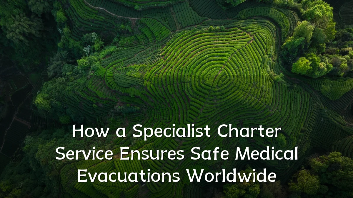 How a Specialist Charter Service Ensures Safe Medical Evacuations Worldwide