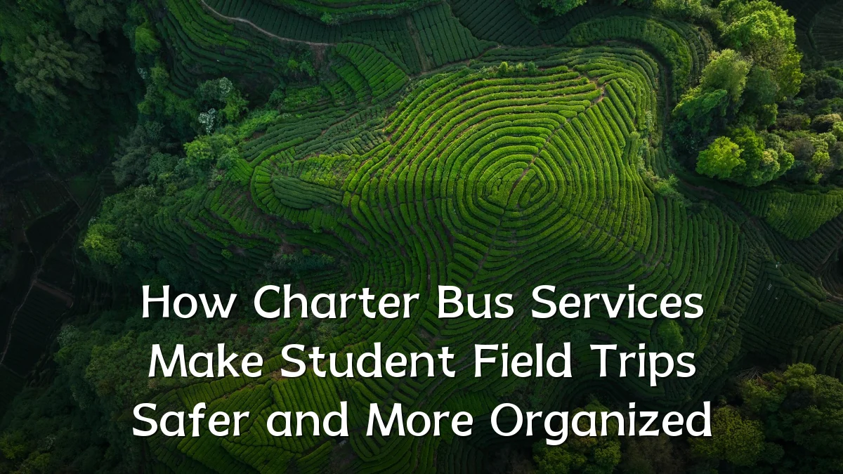 How Charter Bus Services Make Student Field Trips Safer and More Organized